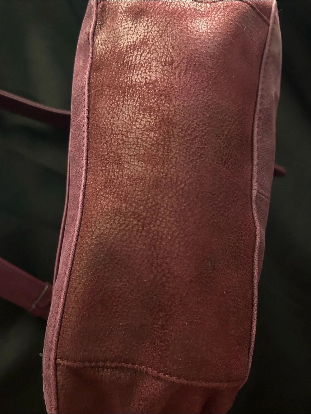 Tignanello stylish plum